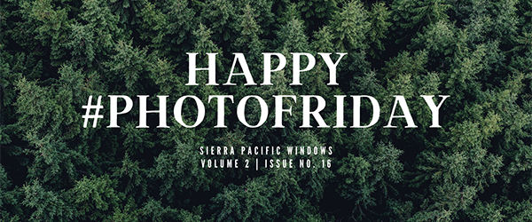 #PhotoFridayBanner_Vol2Issue16